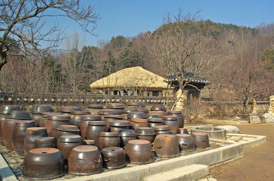 韩国酱缸 制酱作坊