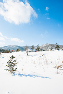 雪原美景