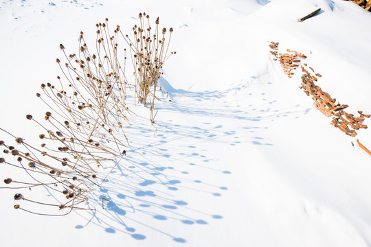 雪乡 雪地 雪村