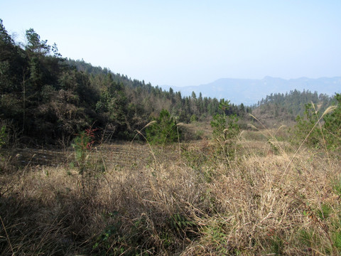 山丘