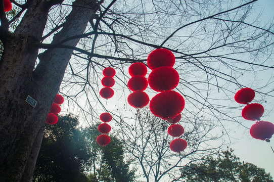 街拍