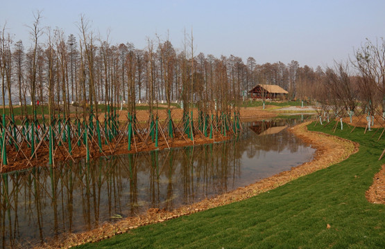 东湖绿道风景