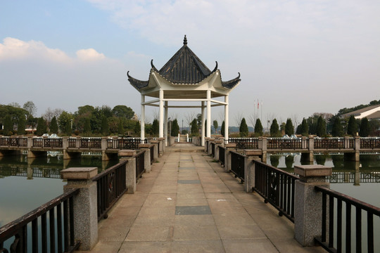 东湖绿道风景