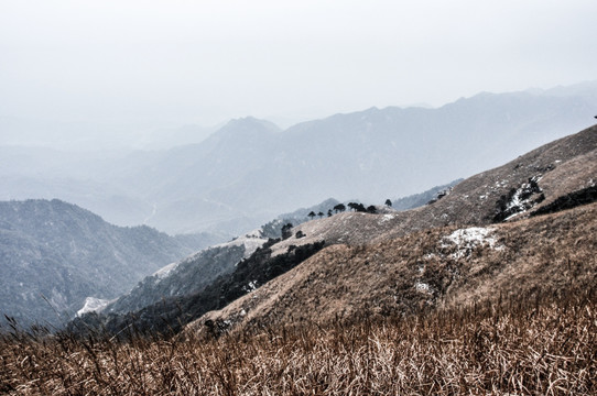 高山云雾枯草积雪