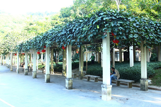 文化走廊