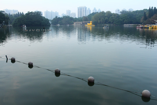 公园小湖