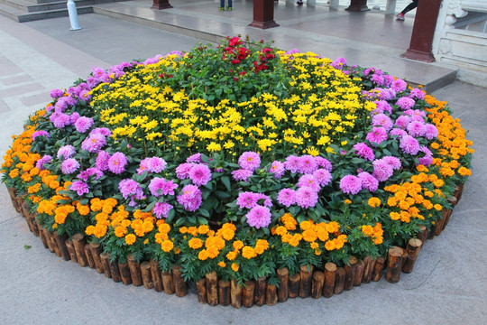 城市花草园艺