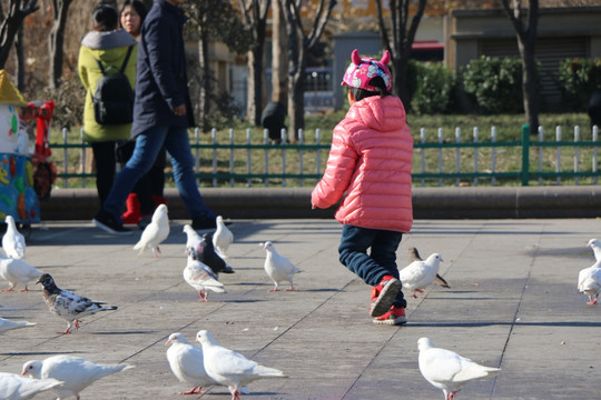 孩子与鸽子