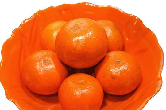 橙子 苔丝橙