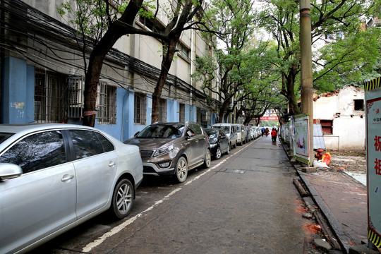 城市街道 小苍停车 城市绿化