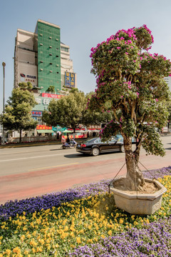 攀枝花竹湖园街景