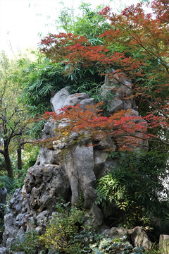 风景