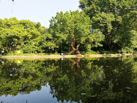 深圳洪湖公园风景