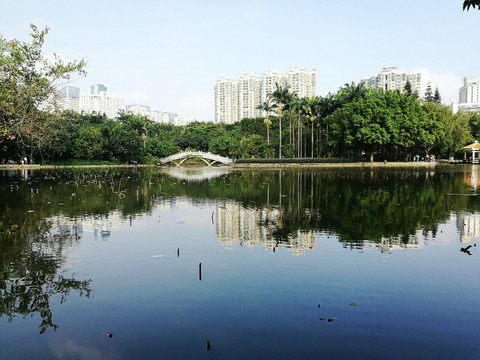 深圳洪湖公园景区
