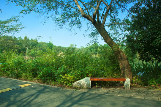 园林路边风景