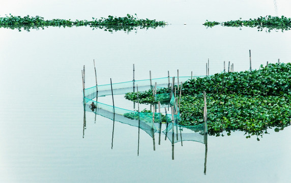 湿地公园