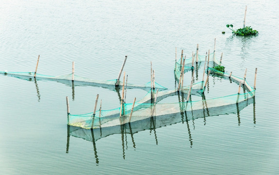 湿地公园