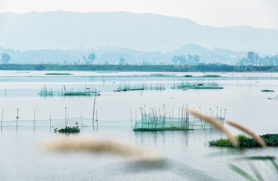 湿地公园