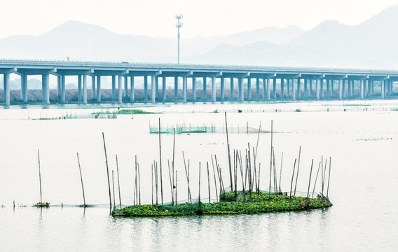 湿地公园