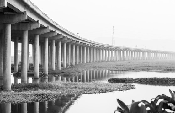 湿地公园