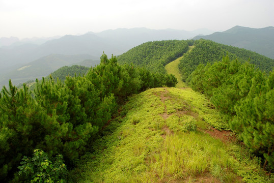 山林防火道