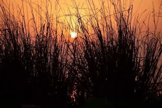 大通湖夕阳