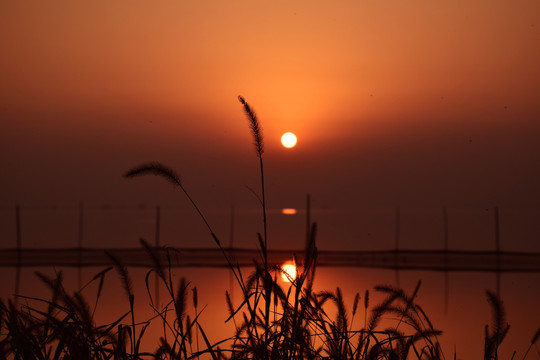 大通湖夕阳