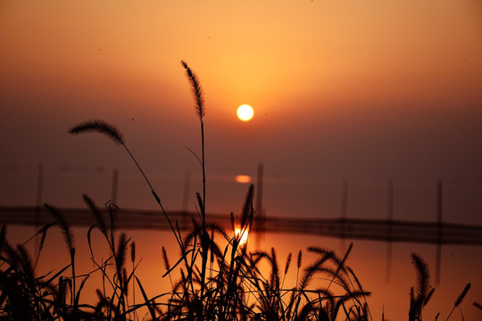 大通湖夕阳