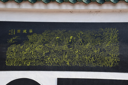 采莲图
