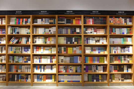 书墙 实木书架 连锁书店