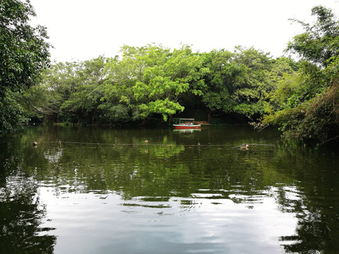 深圳东湖公园景色