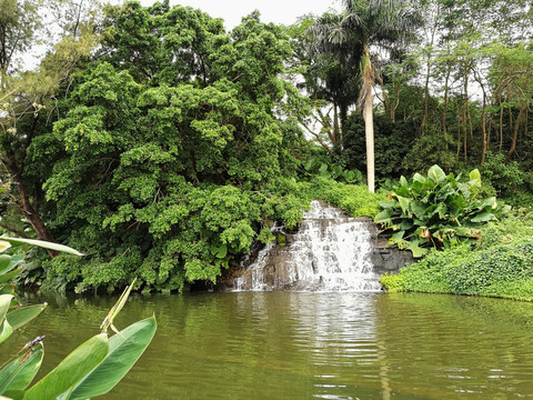 深圳罗湖东湖公园美景