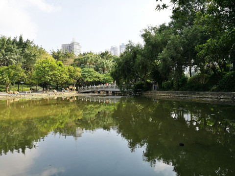 深圳洪湖公园风景