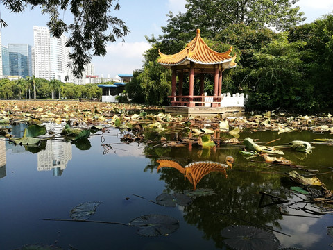 园林景观