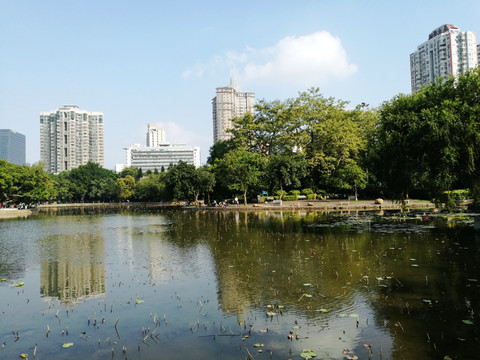 深圳洪湖公园景点