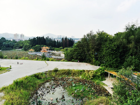 深圳洪湖公园景区