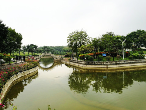 深圳中山公园景观园林