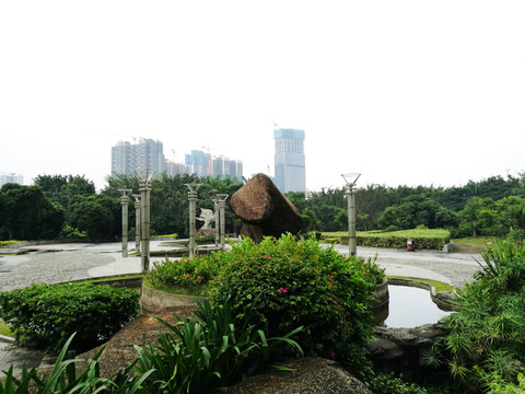 深圳中山公园风景