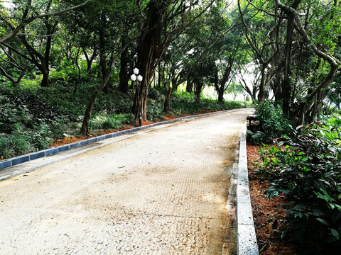 深圳中山公园风景