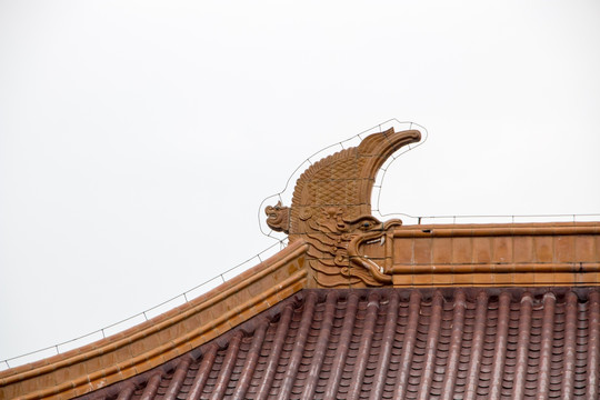 南京博物院 屋顶