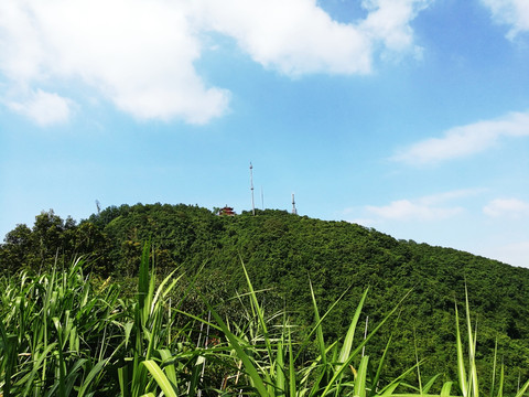 深圳塘朗山郊野公园山峰