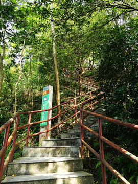 深圳塘朗山公园 百尺天梯