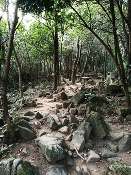 深圳塘朗山郊野公园风景