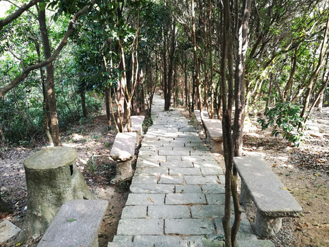 深圳塘朗山郊野公园风景