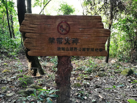 深圳塘朗山公园 禁带火种指示牌