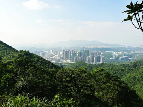 深圳南山塘朗山森林公园景色