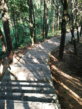 深圳塘朗山郊野公园
