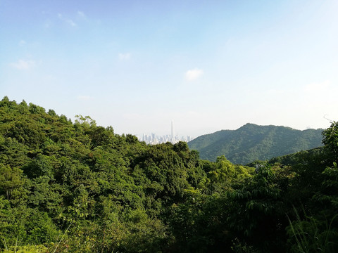 深圳南山塘朗山森林公园