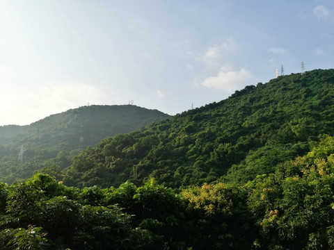 深圳塘朗山风景