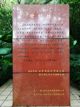 深圳笔架山21世纪林